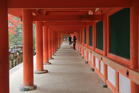 Nara, Japan. Japanese lanterns at Kasuga-taisha Shrine.のeditorial素材