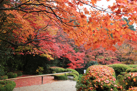 Shisen-do garden