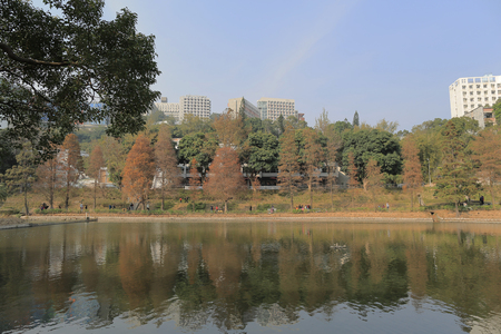 The Chinese University of Hong Kongのeditorial素材