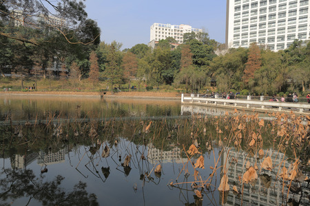 The Chinese University of Hong Kongのeditorial素材