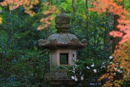 Autumn leaves in Kyotoの写真素材