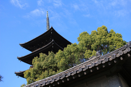 to-ji pagoda in kyoto  japanのeditorial素材