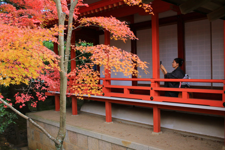 Kyoto, Japan at Daikaku-ji Temple.のeditorial素材
