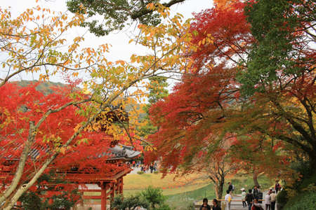 fall season in japan temple