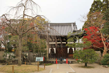 fall season in japan templeの写真素材