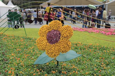 Flower show hong kong at Victoria Parkの写真素材