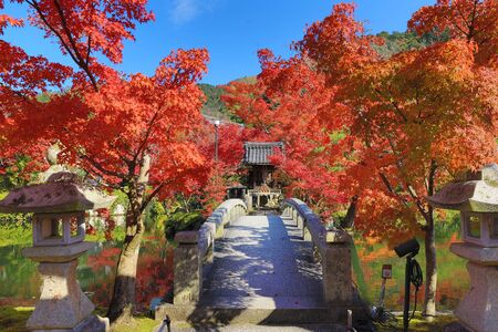 Japanese garden of Eikando Zenrinji temple in autumn, Kyoto, Japan.のeditorial素材