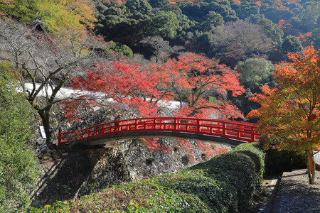 an   Autumn Minoo Takianji  in Osaka, Japan.のeditorial素材