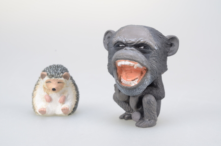figure of  angry ape face of sleeping hedgehogの写真素材