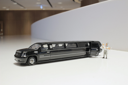 a small figure of wedding with caraの写真素材