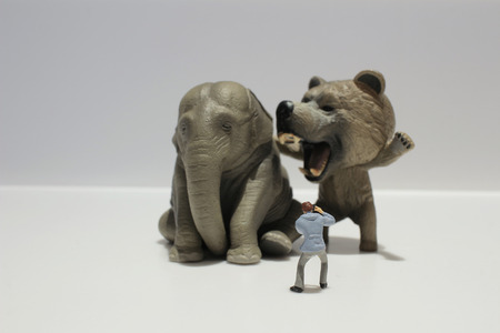 the Statuette of a funny animal of backgroundの写真素材