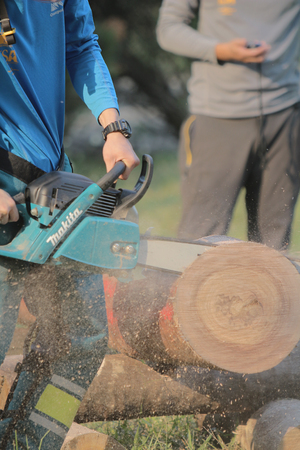 the Professional gardener cutting tree with chainsaw.のeditorial素材