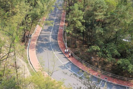 the  Asphalt winding curve road in a beech green forestのeditorial素材