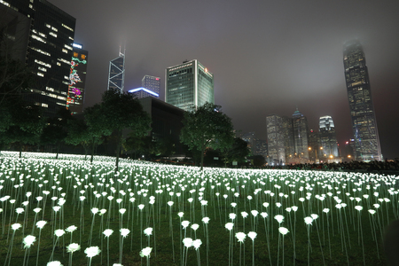 the Light Rose Garden In Hong Kong City at nightのeditorial素材