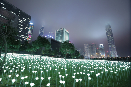 the Light Rose Garden In Hong Kong City at nightのeditorial素材