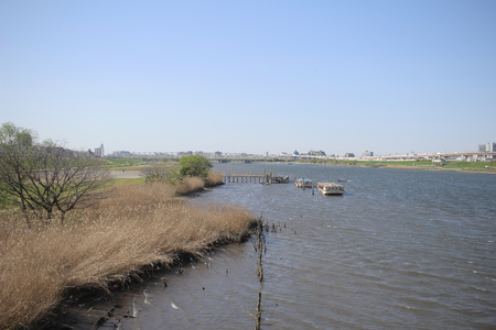 They are in countryside of Japan, Asia.のeditorial素材