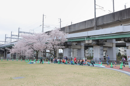 the street near Omiya at 2016のeditorial素材