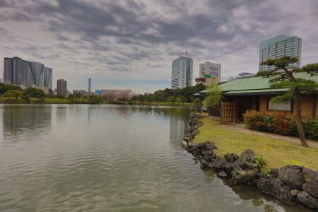 nice example of a traditional Japanese garden in an urbanのeditorial素材