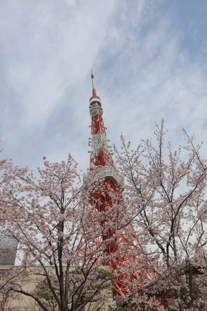 the Overlook of the Tokyo Tower and Tokyo cityのeditorial素材