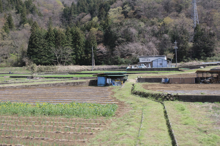 view of countryside japan Fujikyuko Line at  2016のeditorial素材