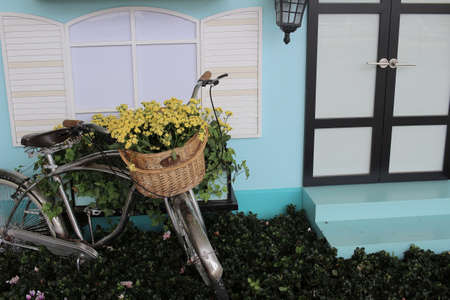 the Beautiful Spring garden on sunny dayの写真素材