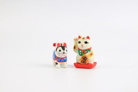 the manekineko and inuhariko isolated on White Backgroundの写真素材