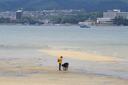 Tourists at  Miyajima, Japan.  2016のeditorial素材