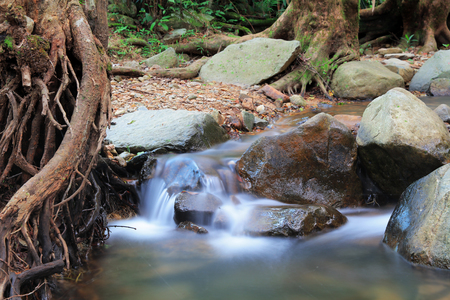 Hong Kong Shing Mun Reservoir at 2016 fallの写真素材