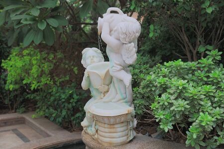 The small plant in afternoon at wan chaiの写真素材