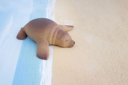 the  plastic sea lion toy with figureの写真素材