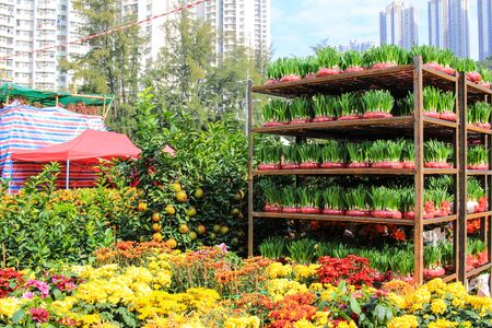 Lunar New Year Fair at 2017のeditorial素材