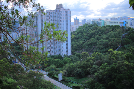 the view of   lam tin hk at 2016のeditorial素材