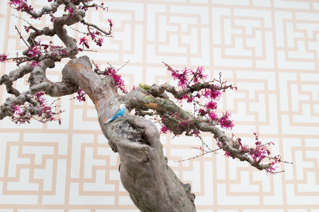 the Close up of a flower bouquet on a white backgroundの写真素材
