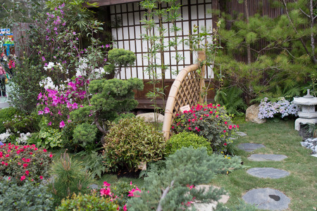 the peaceful zen rock garden with papyrus plantのeditorial素材