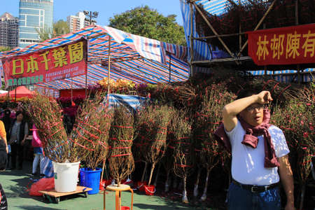 the Lunar New Year fair at hong kong 2017のeditorial素材