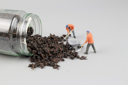 the group of Mini figure at the boardの写真素材