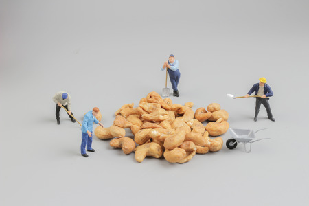 the group of Mini farmers preparing nuts