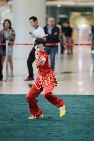 the Wu shu Demonstration at hk 2017のeditorial素材