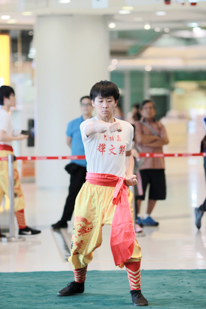 the Wu shu Demonstration at hk 2017のeditorial素材