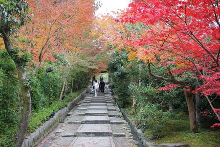 a stone stair to Kodai ji temple
