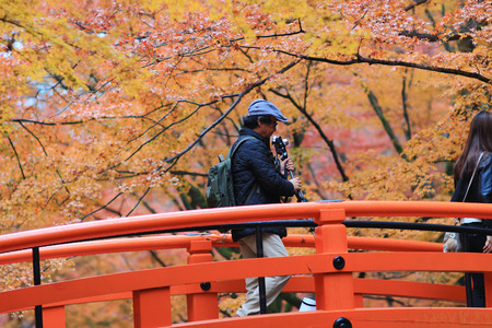 Important tradition of Japanese culture at kyotoのeditorial素材