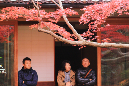 the Enrian at Saganisonin Monzen Zenkoji Yamachoのeditorial素材