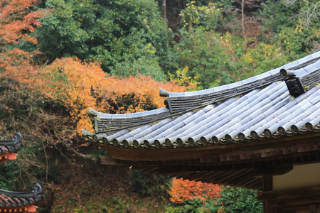 a Otagi Nenbutsu ji Temple, Kyoto, Japanのeditorial素材