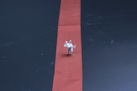 Wedding Figurines with  the fun of  mini worldの写真素材