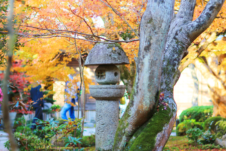 Nature view around  Zuiganzan Enkouji Temple at Sakyo Kuのeditorial素材