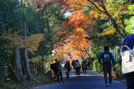 Tourist at the Manshu in Monzeki at kyoto japanのeditorial素材