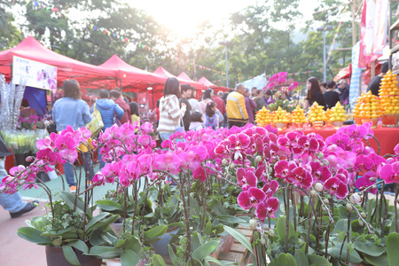 a  Lunar New Year fair at TKOのeditorial素材