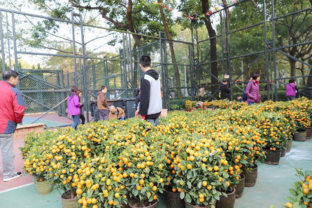 a  Lunar New Year fair at TKOのeditorial素材