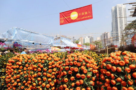 the Lunar New Year fair at Victoria Park のeditorial素材