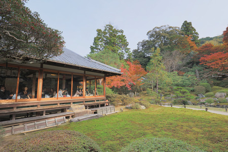 Palace contains a garden with massive old trees, 